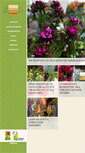 Mobile Screenshot of hannes-blumenstube.de
